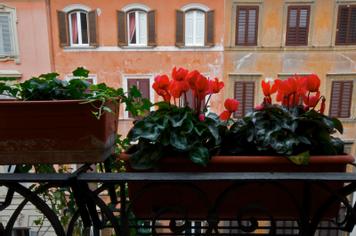 Hotel Concordia | Rome | Hotel Concordia, Rome - Galería de fotos - 17